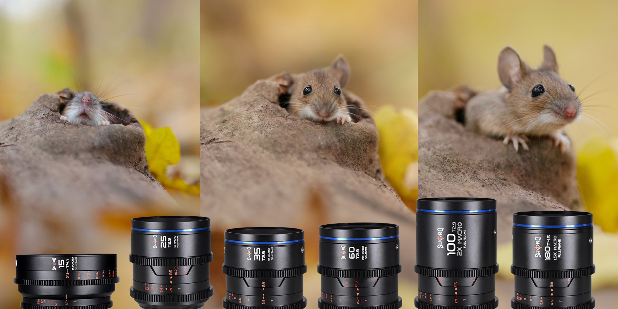 Obiektywy Laowa Sword na tle zdjęć makro przedstawiających gryzonia